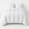 Image de Couette Blanche Winter - Chaude - 240x260 - 13004