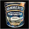 Image de Hammerite Direct Sur Rouille Noir Brillant