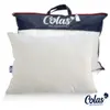 Image de Oreiller bio moelleux - 45X70