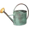 Image de GUILLOUARD Arrosoir Vert Vieilli 4L