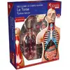 Image de MGM Explora - Anatomie torse humain