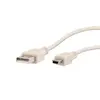 Image de Tnb Câble USB-A vers mini USB - 1 m - Beige