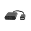 Image de T'NB Display Port vers HDMI