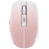 Image de Tnb Gradient Rose