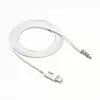 Image de WE Câble Audio Auxiliaire pour iPhone 3,5 mm Cordon de Voiture Câble vers 3,5 mm Adaptateur pour iPhone/iPad/iPod Lien vers des Ecouteurs/Voiture/Haut-parleurs Prise en Charge de Tous Les iOS,1M -Noir