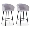 Image de Lot de 2 Chaises de Bar en Velours Kandi 106cm Argent