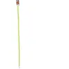 Image de Laisse nylon pour chien Zolux Vert 20 mm 462020ANI