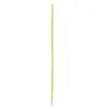 Image de Laisse nylon pour chien Zolux Vert 60 cm 462030ANI