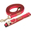 Image de Collier réglable pour chien Zolux Imao Mayfair Rouge 20 mm 466769RGE