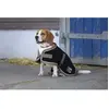 Image de Couverture pour chien Diego & Louna Polyfun Noir 31 cm 409004231
