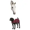 Image de Couverture pour chien polaire Diego & Louna Teddy Rouge 26 cm 409030326