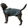 Image de Couverture pour chien polaire Diego & Louna Teddy Vert 36 cm 409030836