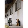 Image de Couverture pour chien en nylon Diego & Louna Teddy Noir 31 cm 409031231