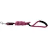 Image de Laisse pour chien avec poignée Riding World Lucky Rose 150 cm 409056016