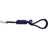Image de Laisse pour chien avec poignée Riding World Lucky Violet 150 cm 409056017