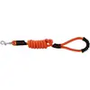 Image de Laisse pour chien avec poignée Riding World Lucky Orange 150 cm 409056025