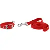 Image de Collier et laisse pour chien Riding World Oscar Rouge 30 cm 409057330