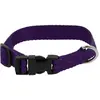 Image de Collier pour chien Riding World Pat Violet 30 cm 409058530