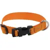 Image de Collier pour chien Riding World Pat Orange 30 cm 409058830