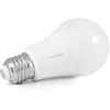Image de Avidsen Home Light