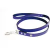Image de Laisse pour chien en cuir classique Martin Sellier Bleu 16/1 m 3005982