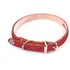 Image de Collier pour chien en cuir Martin Sellier Rouge 16/40 cm 3005719