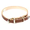 Image de Collier pour chien en cuir Martin Sellier Marron 22/47 cm 3005739