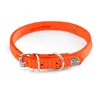 Image de Collier pour chien surpiqué avec plaque Martin Sellier Orange 10/31 cm 3005986