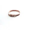 Image de Collier pour chien surpiqué avec plaque Martin Sellier Marron 22/47 cm 3006029