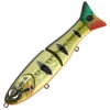 Image de Poisson nageur Sakura S Shiner 190S : Coloris Sakura - 106