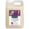 Image de PROTECTION STAR SOL CAR.BRIL. 5 L STARWAX - 293