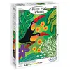 Image de Sentosphère Palette d'artiste Toucans