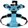 Image de BOBBY-Harnais Chien - Bobby Rando Walk Bleu   XL