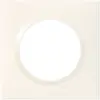 Image de Legrand Dooxie - Plaque 1 poste Blanc