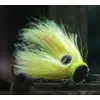 Image de Tête Plombée VMC Mustache Shallow 22g : Coloris VMC - UVC, Poids - 22g