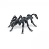 Image de Papo Figurine fourmi - Animaux