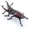 Image de Papo Figurine insecte lucane