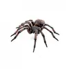 Image de Papo figurine araignée commune