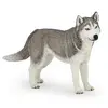 Image de Papo Figurine Husky de Sibérie