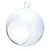 Image de Graines Créatives Boule Verre