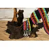 Image de Zolux Laisse corde pour chien en nylon - 120 cm - Rouge