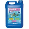 Image de Mareva Algicide Revatop 12 % 5 L 0001241