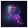 Image de Bigwax Distribution Roseaux III - Roseaux - Vinyle 33T