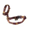 Image de Muselière pour chien Martin Sellier Marron Taille 2 3004462