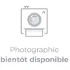 Image de Magimix Disque râpe parmesan pour robot