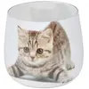 Image de Paris prix Bougie Anti-Odeurs Chat 8cm - Blanc