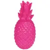 Image de Paris prix Ananas Tropical - Rose