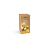 Image de Graines Créatives Kit DIY Diffuseur Citronnelle