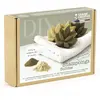 Image de Graine créative Coffret DIY shampoing solide