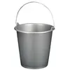 Image de ALUMINIUM ET PLASTIQ Seau ménage 5 L - Silver